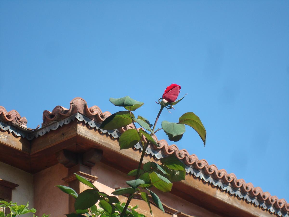 Oikia Alexandrou Traditional Inn 奥纳亚 外观 照片