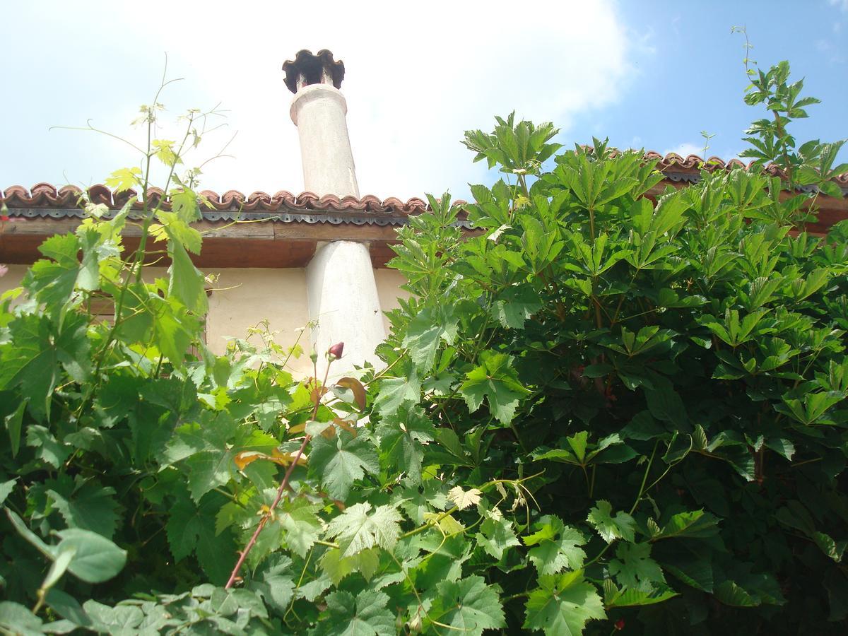 Oikia Alexandrou Traditional Inn 奥纳亚 外观 照片