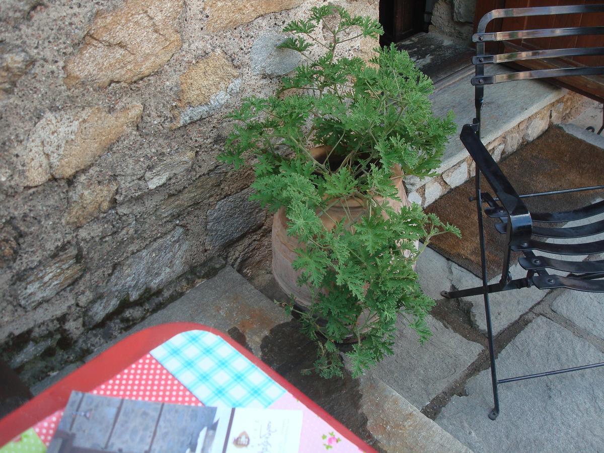 Oikia Alexandrou Traditional Inn 奥纳亚 外观 照片
